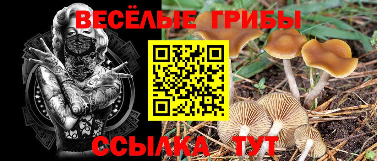 Чайковский  Псилоцибиновые грибы мухоморы  Вход с VPN 