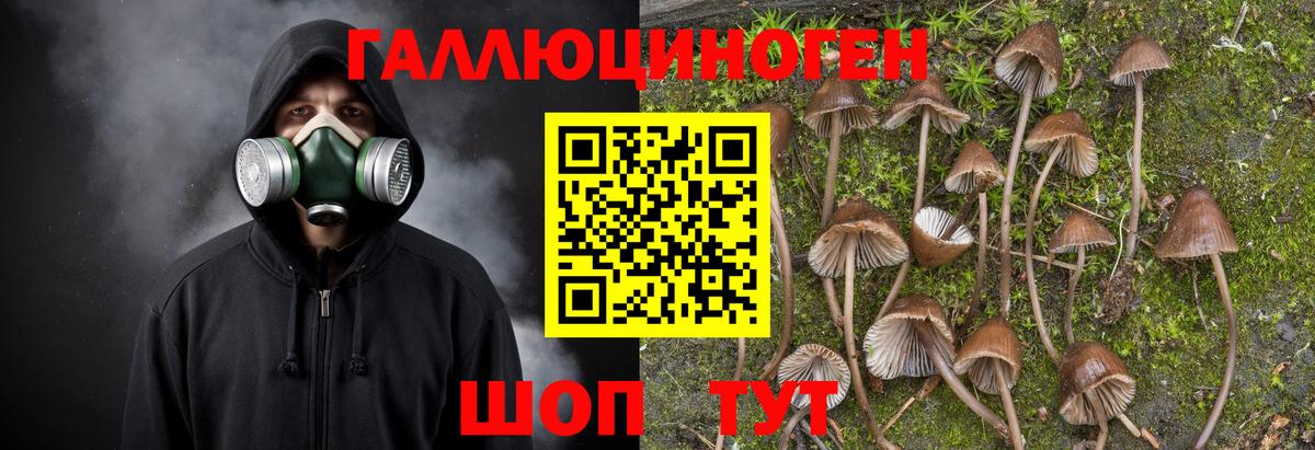 Галлюциногенные грибы мухоморы Чайковский