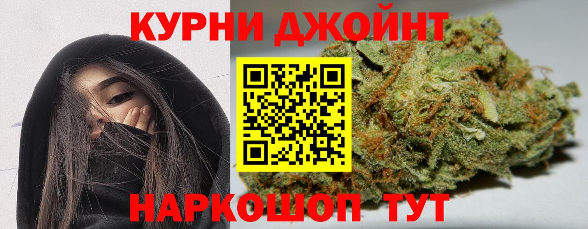 Каннабис гибрид Чайковский